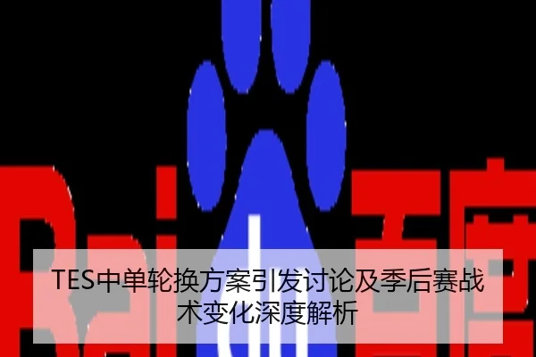 TES中单轮换方案引发讨论及季后赛战术变化深度解析