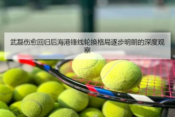 武磊伤愈回归后海港锋线轮换格局逐步明朗的深度观察
