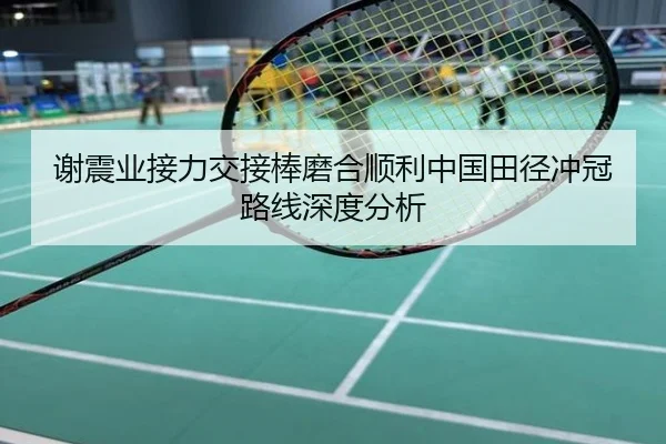 谢震业接力交接棒磨合顺利中国田径冲冠路线深度分析